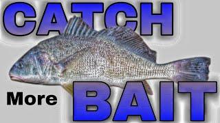 (WINTER FISHING GOLD) How to Find and Catch SHAD FAST!