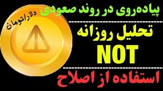 تحلیل ارز نات کوین | همچنان رشد ارز NOT | آیا ناتکوین به سقف میرسد؟