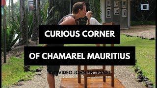 Curious Corner of Chamarel Mauritius in 3 MIN