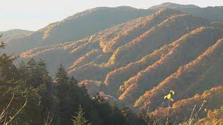 Federal layoffs impact some Great Smoky Mountains National Park employees