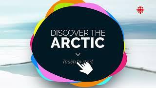 Discover the Arctic, an Interactive Exploration of Arctic Animals