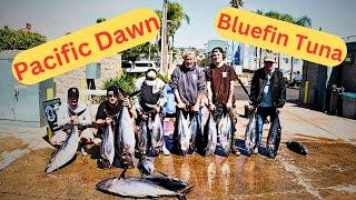 Limits First Catch: Rookie Adventure in Bluefin Tuna Fishing on the Pacific Dawn Fishermans Landing