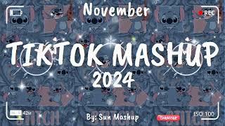 Tiktok Mashup November 2024 (Not Clean)