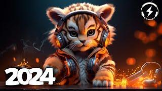 Music Mix 2024  EDM Mix of Popular Songs  EDM Gaming Music Mix #112