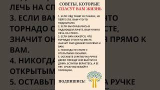 Советы, которые спасут вам жизнь ️#полезныесоветы