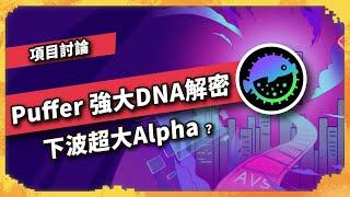 Puffer 強大DNA解密 下波超大Alpha？   - 項目討論(1048集)