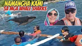 KITANG KITA NAMIN ANG WHALE SHARK SA CEBU