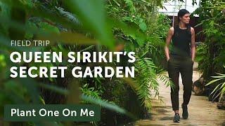 Queen Sirikit Botanic Garden Limestone Plants Tour — Plant One On Me — Ep 135