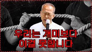 우리가 놓치고 있는 자연의 비밀, 개미로부터 배우는 협력 | 호모심비우스 팝업 | 최재천의 아마존