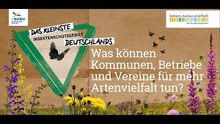 Was können Kommunen, Betriebe und Vereine für mehr Artenvielfalt tun?