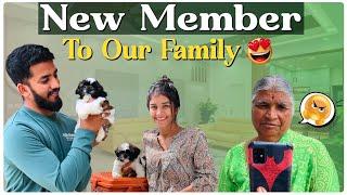 New Member  #nikhilnisha | Nikhil Nisha Vlogs