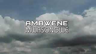 CHOZI LA HAKI BY AMBWENE MWASONGWE