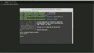 Introduction to the Programming Language Julia