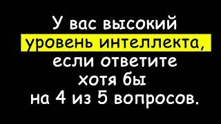 Пройдите, если хотите расшевелить свой мозг. Тесты на эрудицию и кругозор