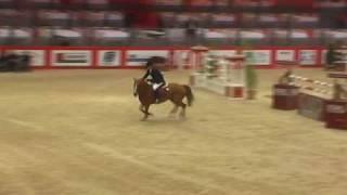 Itot du chateau- jumping horse  by Le Tot de Semilly