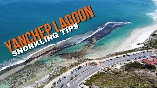 Yanchep Lagoon Snorkelling Tips