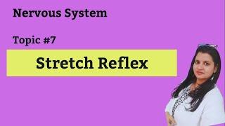 #stretch  reflex and #musclespindle