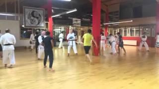 Amir Valadkhani karate dojo kelkheim