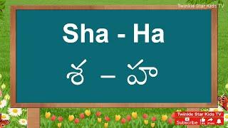 Learn Telugu Guninthalu (Sha - Ha) (శ - హ) with Engish & Hindi - Learn Telugu Letters