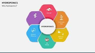 Hydroponics Animated PowerPoint Template