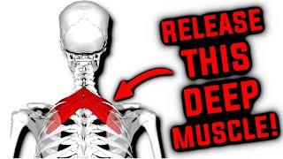 This deep muscle can give you neck, shoulder & back pain. Release it!