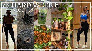 75 HARD WEEK 6: Daily Fitness Routine, Motivation & Discipline Secrets, Apartment Refresh & Decor