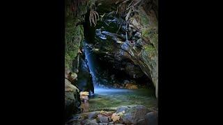 A Walk to Maple Falls (The Forest of Nisene Marks) - Aptos, CA - 10/9/2019