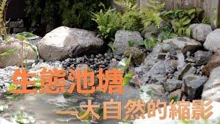 《幸福有家》池塘设计——将大自然带回家中 ,.-*`'`*