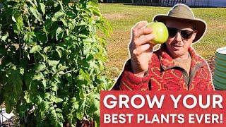 The SECRET to BEAUTIFUL TOMATO PLANTS | Can You Do It?