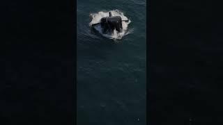 Autonomous Seapower