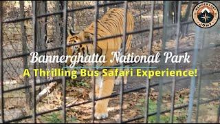 Exploring Bannerghatta National Park: | Bus Safari Adventure at Bannerghatta | Bannerghatta | 4K