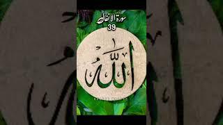 Surah Al Anfal Verse 39 with urdu translation #QuranTv