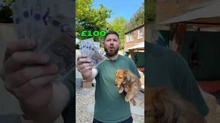 I Let My Dog Place Football Bets ️