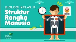 BIOLOGI Kelas 11 - Sistem Gerak Manusia (PART 1) | GIA Academy