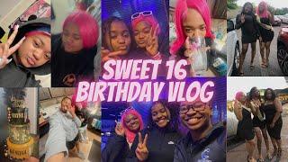 My Sweet 16 Birthday Vlog ! | Rayne D’shyne