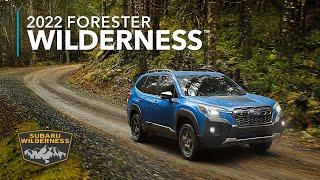 2022 Forester Wilderness - See more, explore more, experience more.