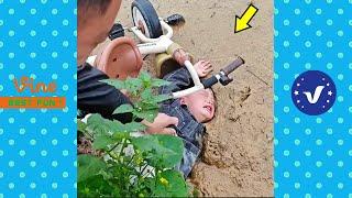 Funny & Hilarious Video People's Happy Life #63  Try Not To Laugh Funny Videos 2024