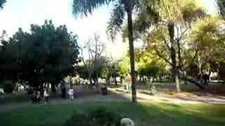 Choche en parque Las Heras (2) encuentro con San Bernardo
