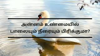 அன்னம் பாலில் இருந்து நீரை பிரிக்குமா? | Did really Swan separate water? | அன்னப்பறவை பற்றி தமிழில்