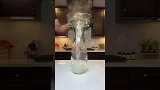 Rosemary Tea | Energy & Hair Growth #tea #homemade #hair #energy #memory