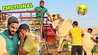 SURPRISING MY FRIEND WITH COW GIFT | GOT EMOTIONAL  | COW MANDI | MISHKAT KHAN