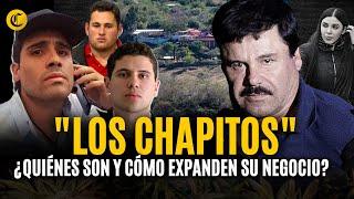 ¿QUIÉNES SON LOS "CHAPITOS"?: Lujos y extravagancias de los sucesores del CÁRTEL DE SINALOA