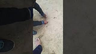 #reels #trending #shorts #viral #kids