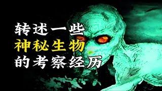 【天涯神贴】转述一些神秘生物的考察经历！