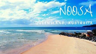 AUSTRALIA TRAVEL VLOG #13:  NOOSA, EUMUNDI MARKET AND MONTEVILLE, Queensland.