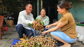 Peaceful life: Couple harvest longan garden together | Ly Tieu Trang