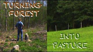 Making Pasture out of Forest (Simple Ways) - The FHC Show, ep 22