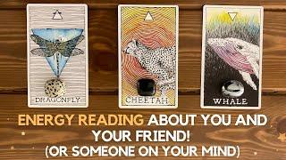 Energy Reading About You and Your Friend /Someone On Your Mind  ᦰ  | Timeless Reading