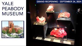 Rapid Walkthrough of The Peabody - 2024 Reopening of Yale Peabody Museum