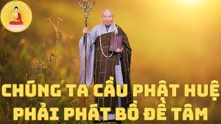 Chúng ta cầu Phật huệ thì nhất định phải phát Bồ Đề Tâm | Hòa Thượng Tịnh Không | Tâm Hướng Phật